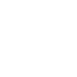 canal 11 logo